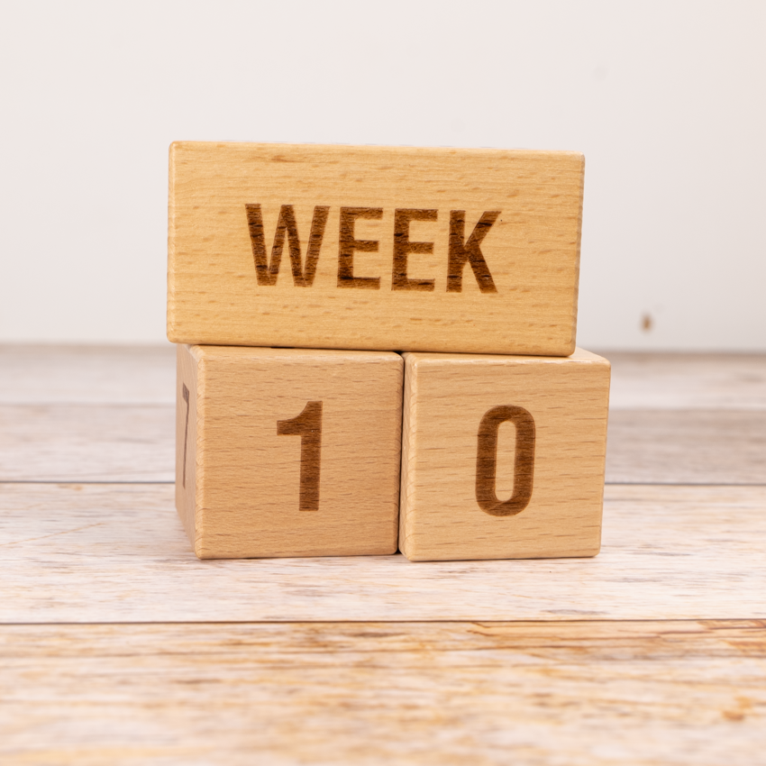 Entwicklungsbox / 0-2 Monate