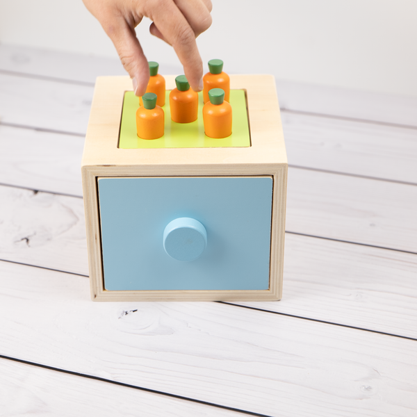 Entwicklungsbox / 13-18 Monate