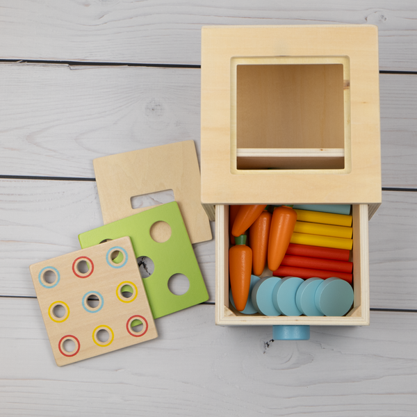 Entwicklungsbox / 13-18 Monate