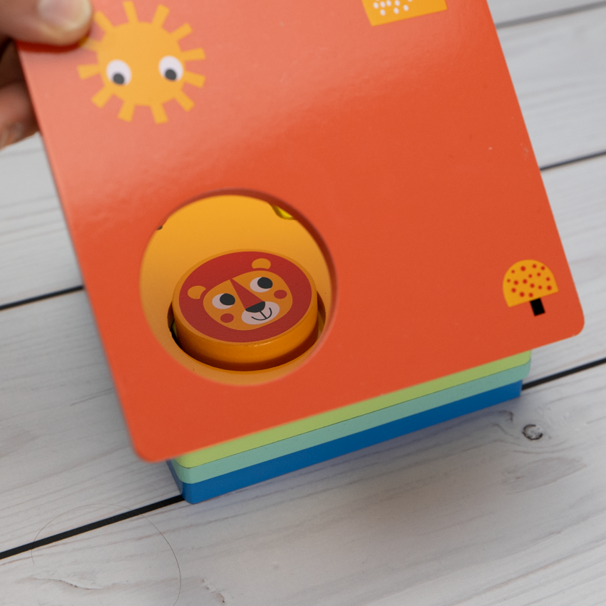 Entwicklungsbox / 25-36 Monate