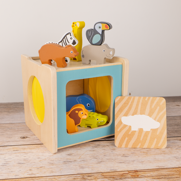 Entwicklungsbox / 31-36 Monate