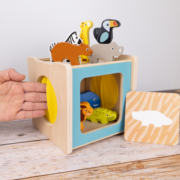 Entwicklungsbox / 31-36 Monate